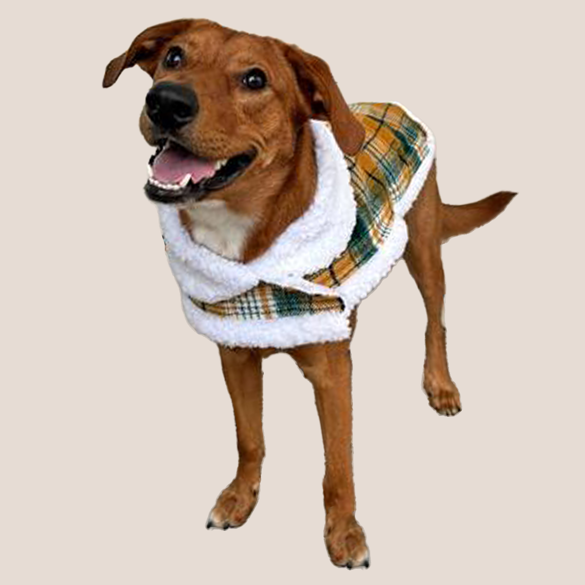 Plaid Luxury Sherpa Lined - Coat