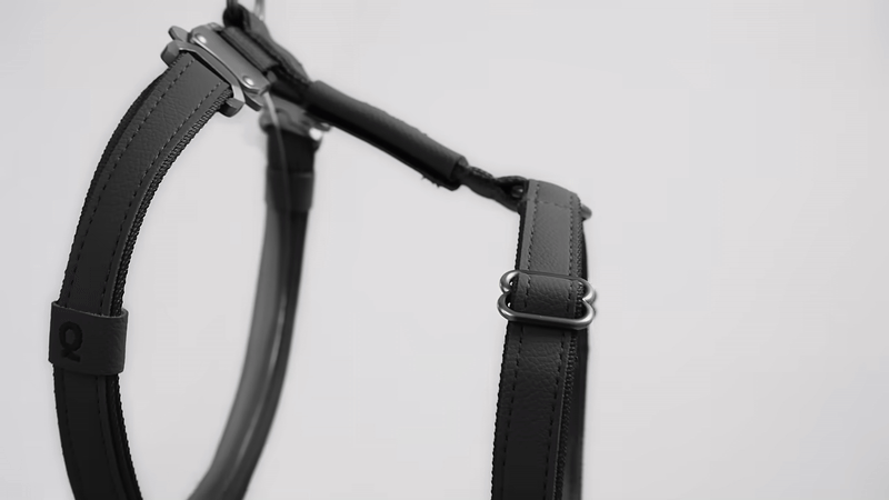 QISU Harnesses