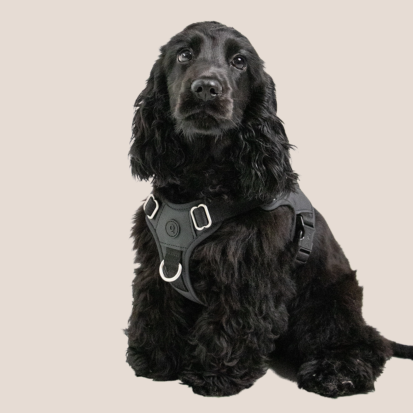 QISU Harnesses