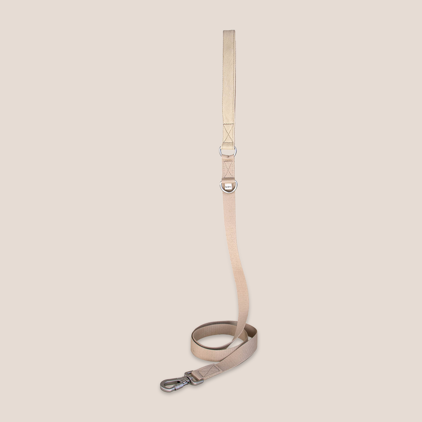 QISU Leashes