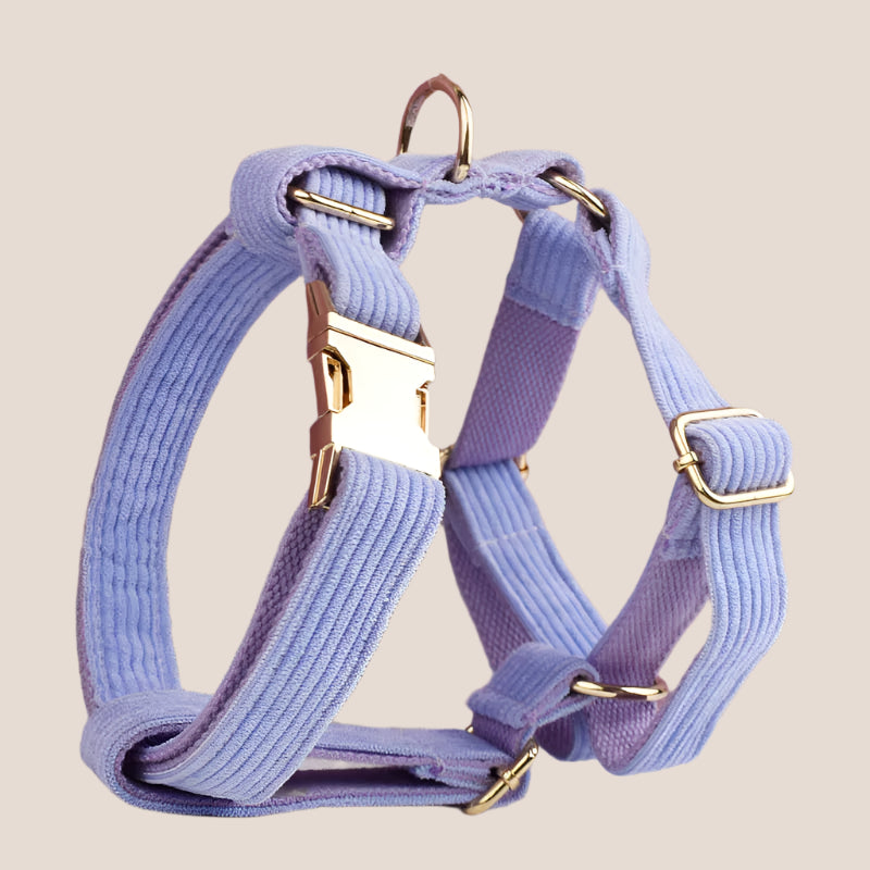 Personalized Pet ID Collar, Harness Leash & Accessories Set Purple Corduroy