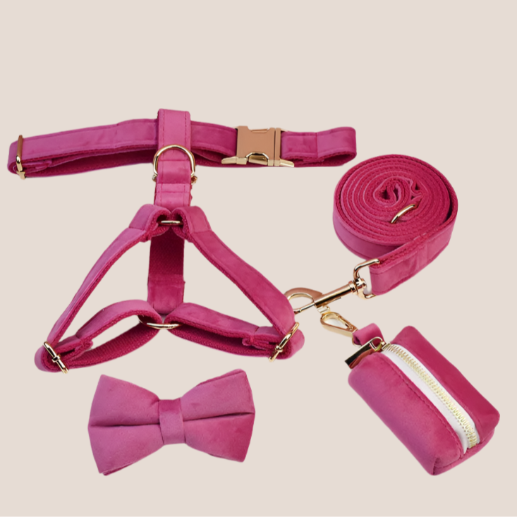 Dark Pink Velvet Engraved Pet Set