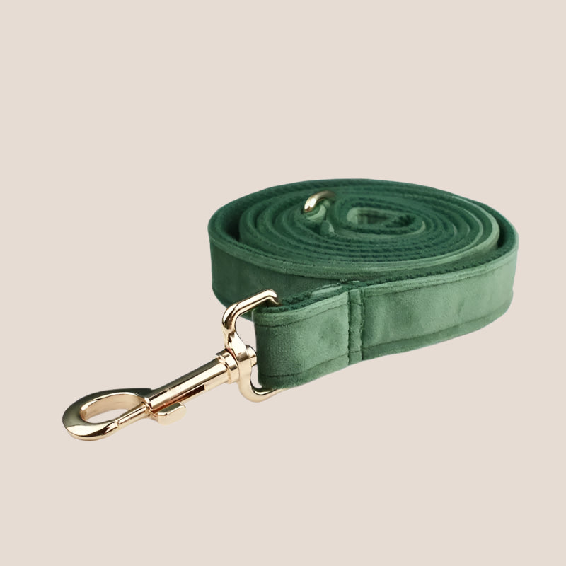 Forest Green Velvet Engraved Pet Set