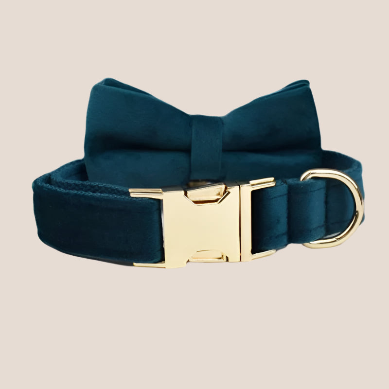 Ocean Blue Velvet Engraved Pet Set