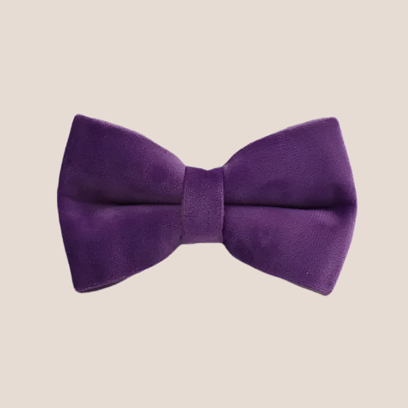 Purple Velvet Engraved Pet Set