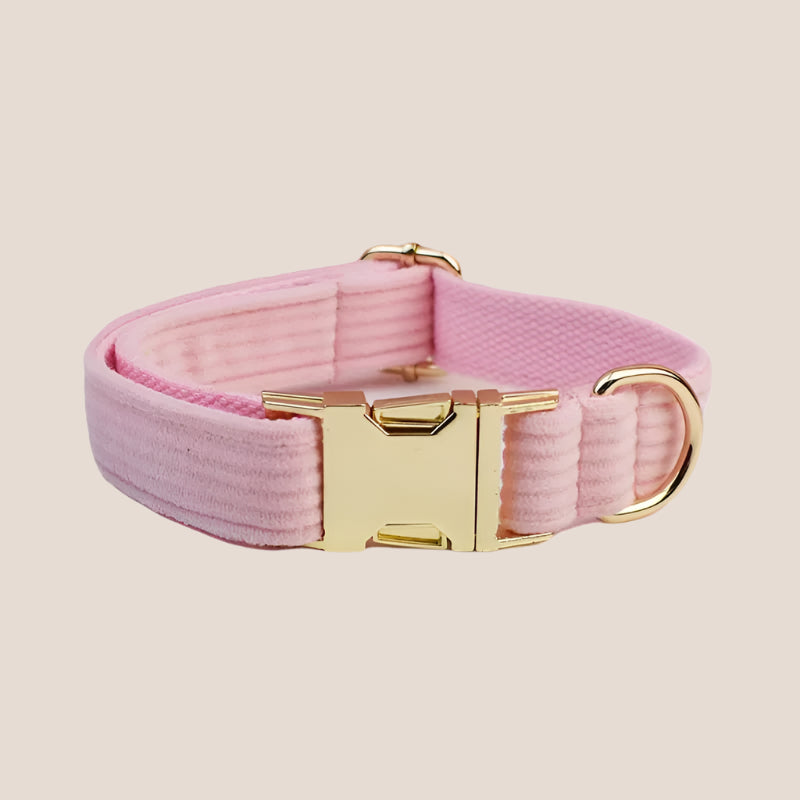 Personalized Pet ID Collar, Harness Leash & Accessories Set - Pink Corduroy