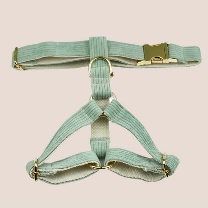 Green Corduroy Engraved Pet Set
