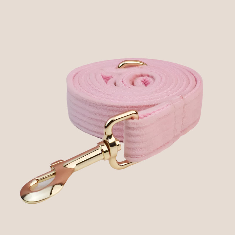 Personalized Pet ID Collar, Harness Leash & Accessories Set - Pink Corduroy