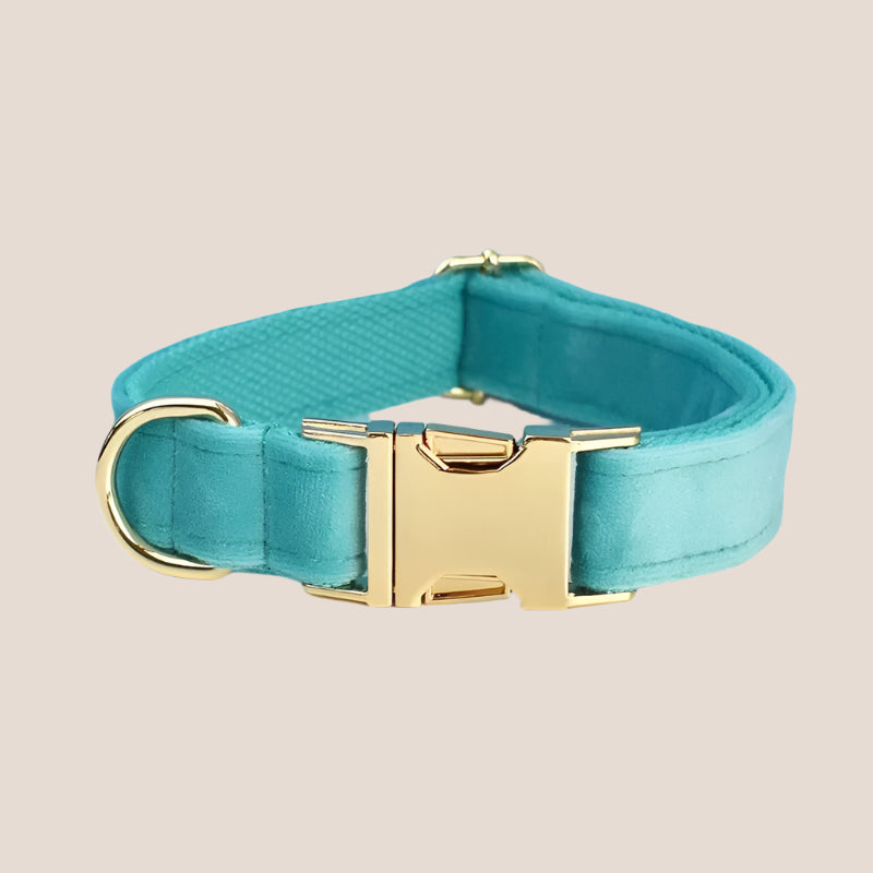 Turquoise Velvet Engraved Pet Set