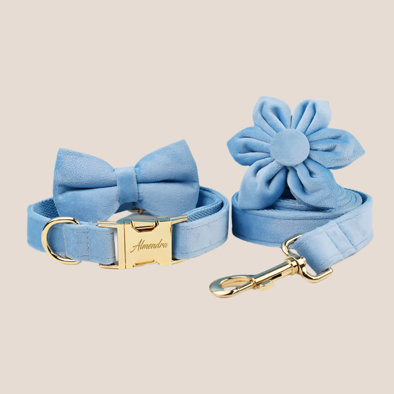 Personalized Pet ID Collar, Harness Leash & Accessories Set Light Blue Velvet