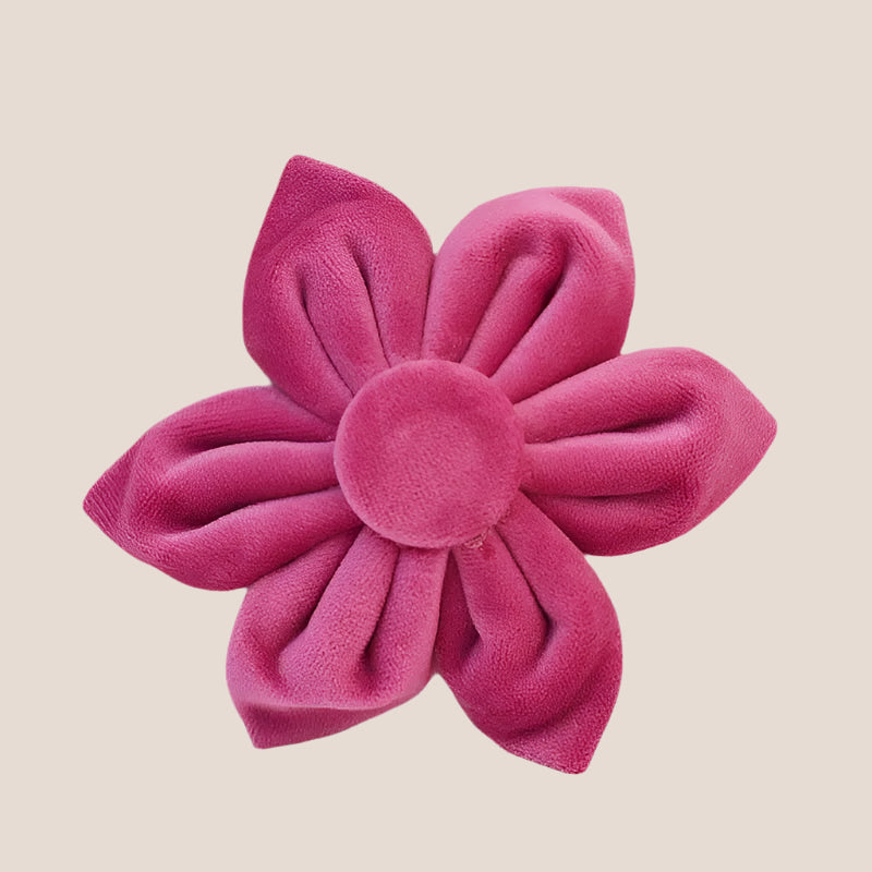 Dark Pink Velvet Engraved Pet Set