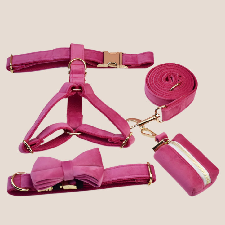 Dark Pink Velvet Engraved Pet Set