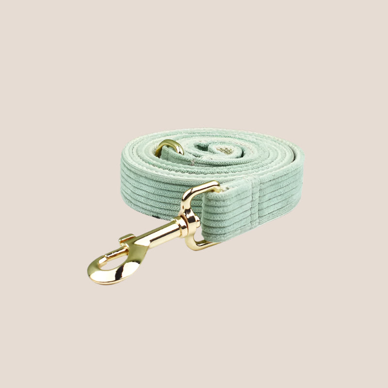 Green Corduroy Engraved Pet Set