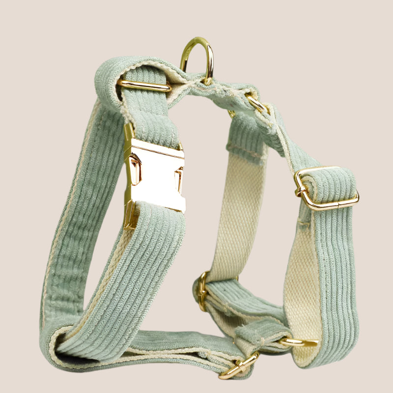 Green Corduroy Engraved Pet Set