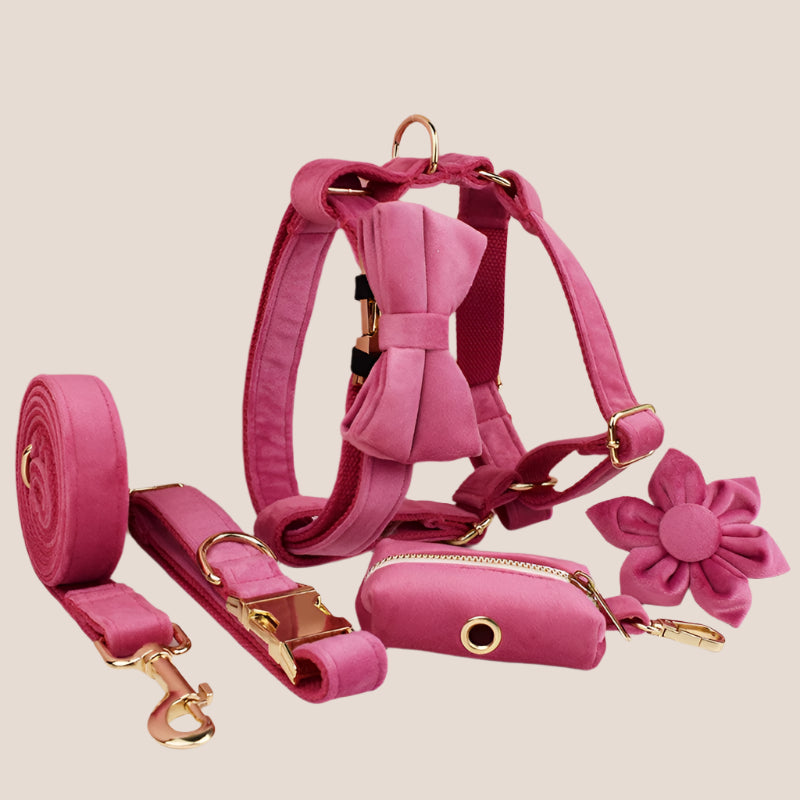 Dark Pink Velvet Engraved Pet Set