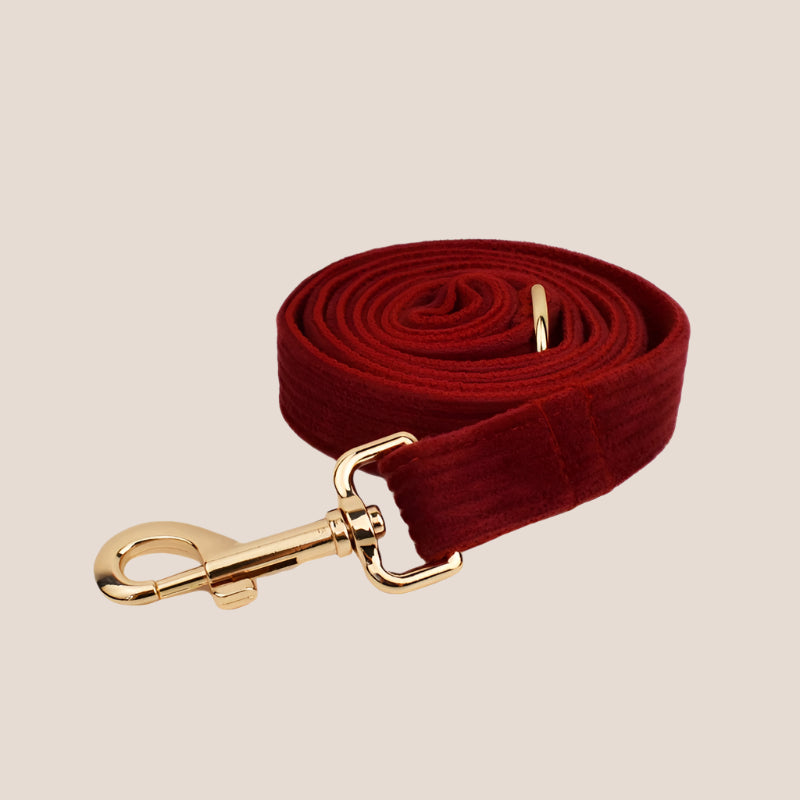 Personalized Pet ID Collar, Harness Leash & Accessories Set Maroon Corduroy
