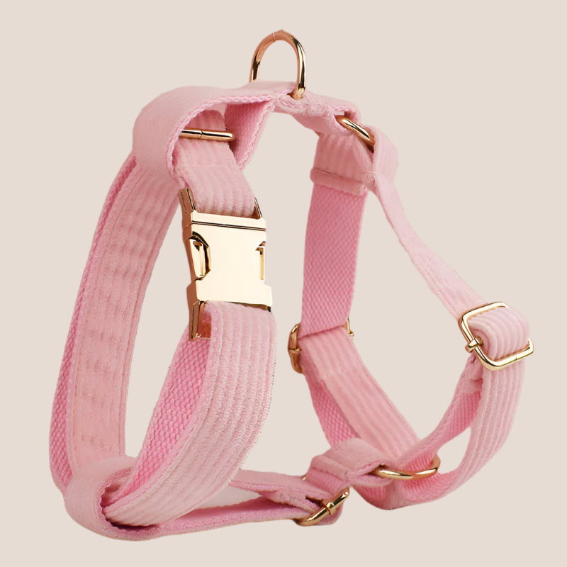 Personalized Pet ID Collar, Harness Leash & Accessories Set - Pink Corduroy
