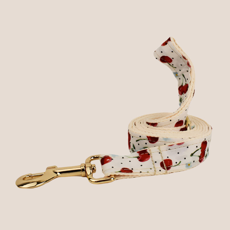 Personalized Pet ID Collar, Harness Leash & Accessories Set Cherry