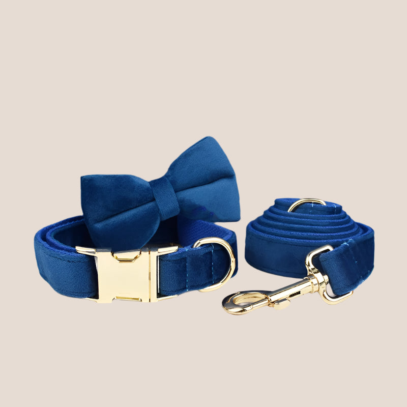 Royal Blue Velvet Engraved Pet Set