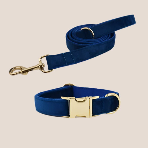 Royal Blue Velvet Engraved Pet Set