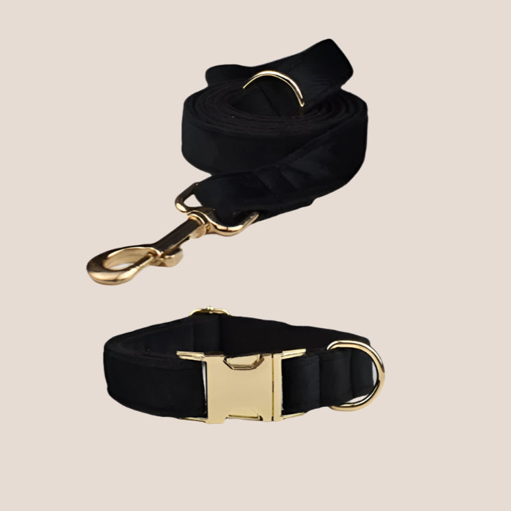 Black Velvet Engraved Pet Set
