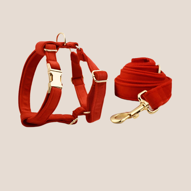 Red Velvet Engraved Pet Set