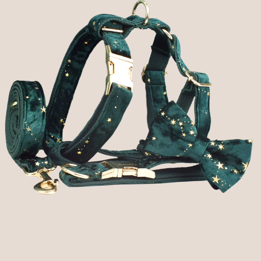 Dark Green & Gold Stars Velvet Engraved Pet Set