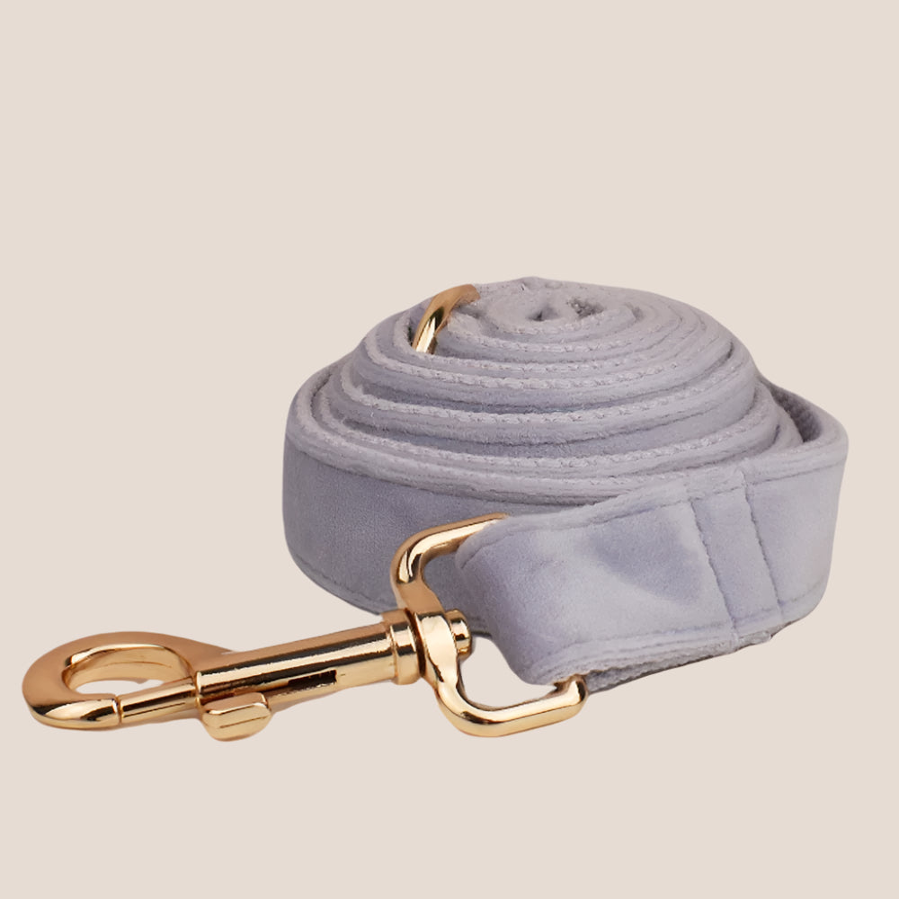 Personalized Pet ID Collar, Harness Leash & Accessories Set Lilac Velvet
