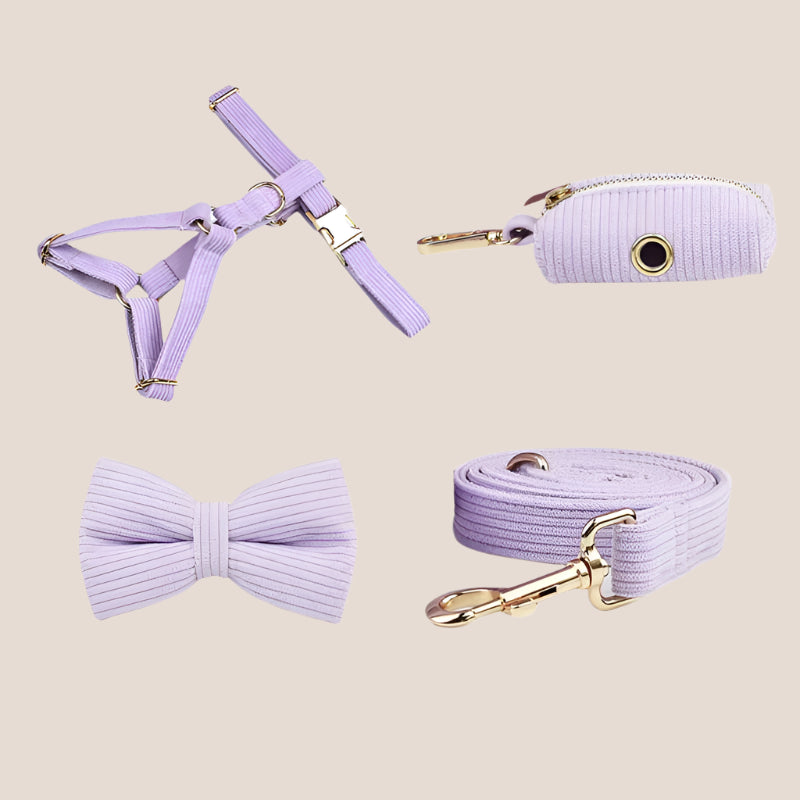Personalized Pet ID Collar, Harness Leash & Accessories Set Lilac Corduroy