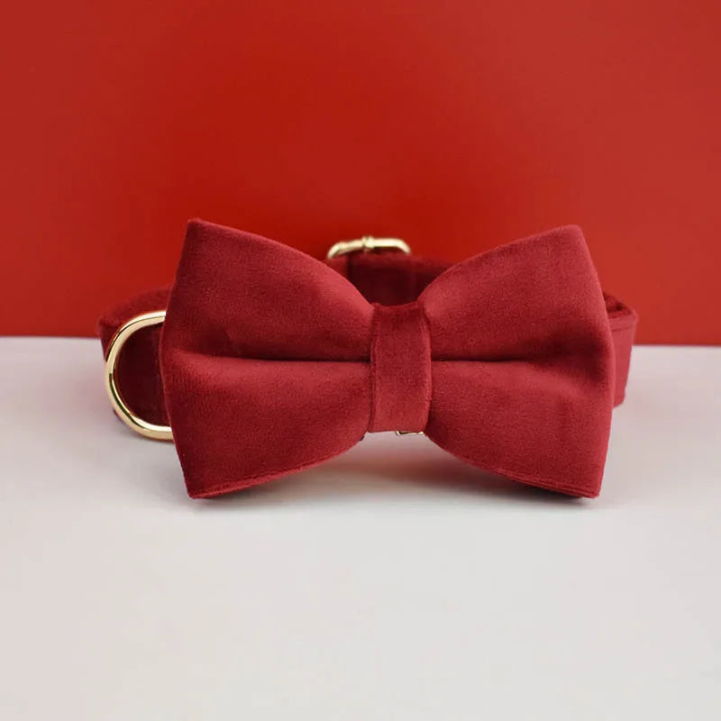 PERSONALIZED COLLAR LEASH AND TIE SETS