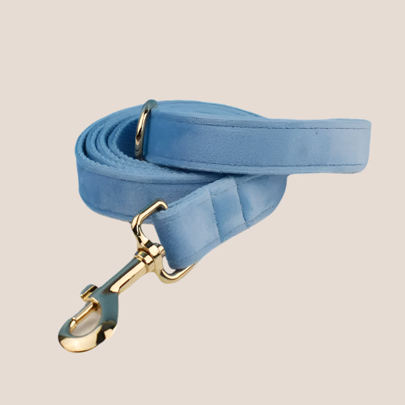Personalized Pet ID Collar, Harness Leash & Accessories Set Light Blue Velvet