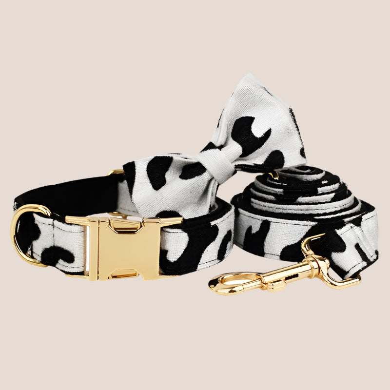Personalized Pet ID Collar, Harness Leash & Accessories Set Cow Print Velvet