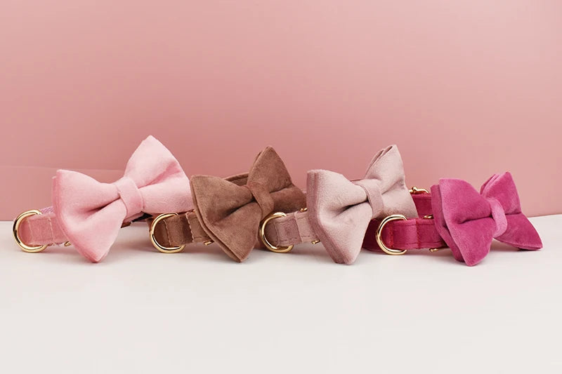 PERSONALIZED COLLAR LEASH AND TIE SETS