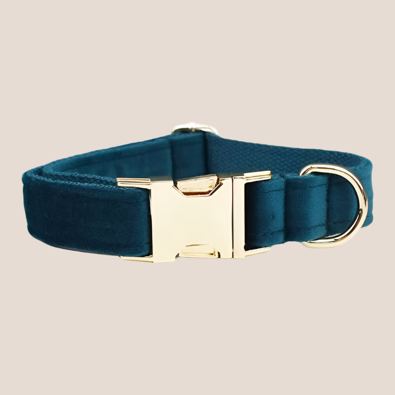 Ocean Blue Velvet Engraved Pet Set