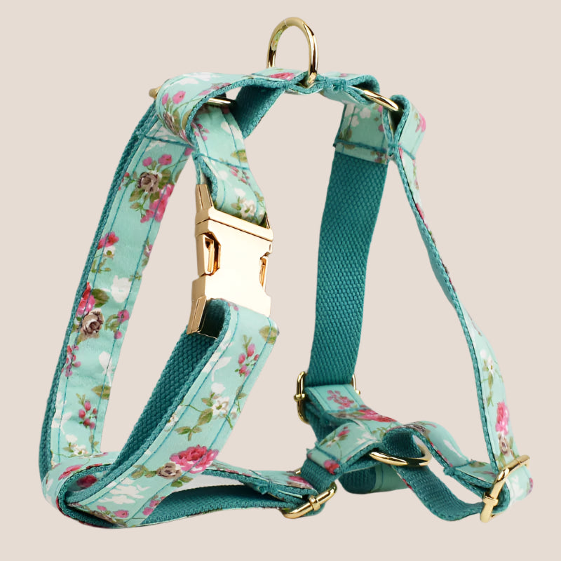 Personalized Pet ID Collar, Harness Leash & Accessories Set Mint Floral