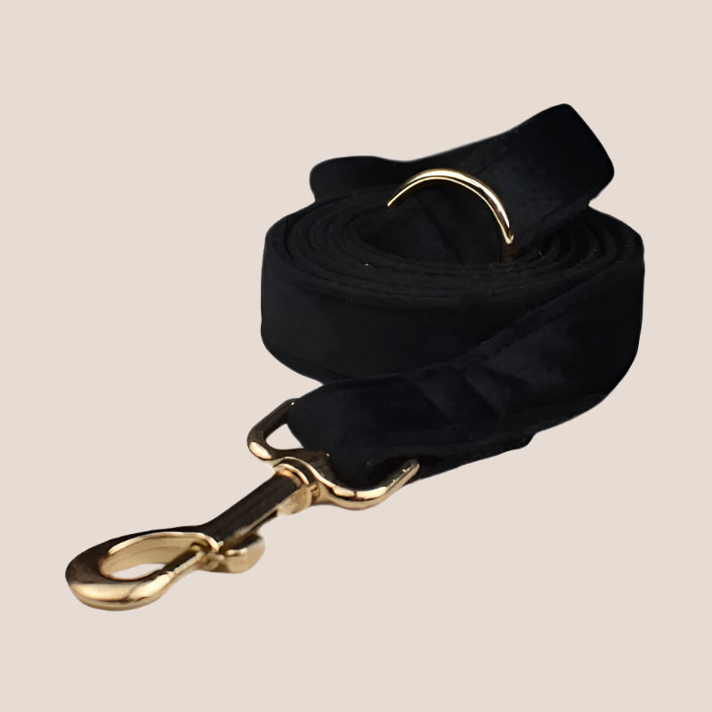 Black Velvet Engraved Pet Set