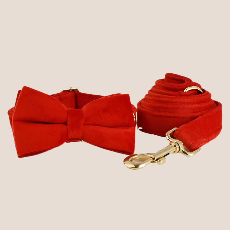 Red Velvet Engraved Pet Set