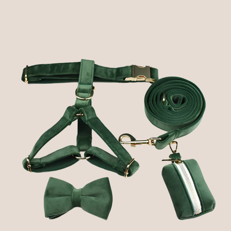 Forest Green Velvet Engraved Pet Set