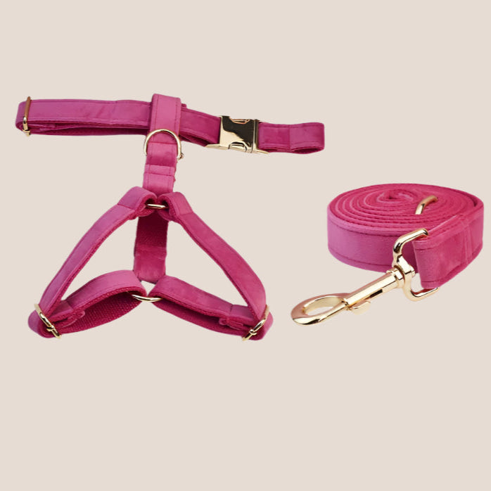 Dark Pink Velvet Engraved Pet Set