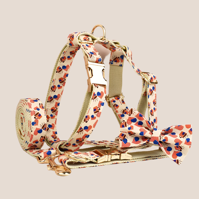 Personalized Pet ID Collar, Harness Leash & Accessories Set USA Flag