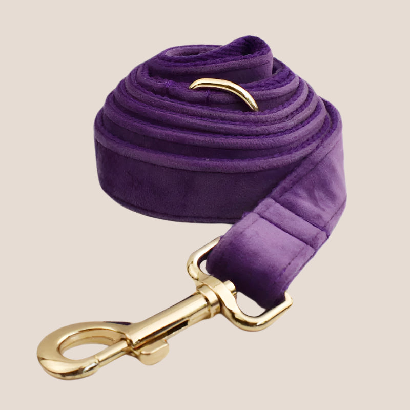 Purple Velvet Engraved Pet Set