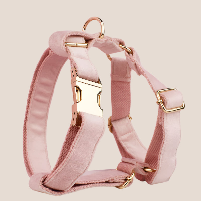 Personalized Pet ID Collar, Harness Leash & Accessories Set Pale Pink Velvet