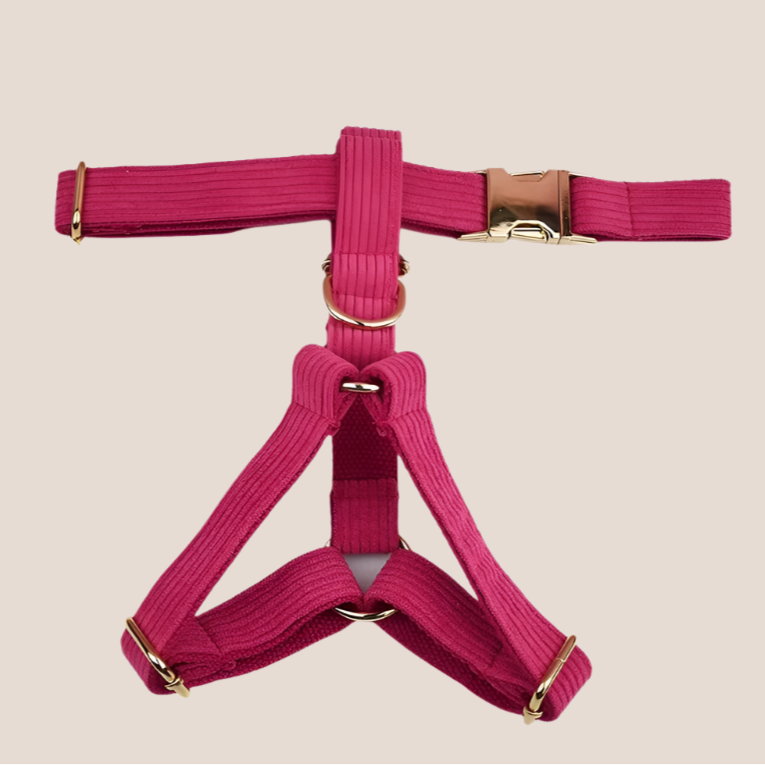 Dark Pink Corduroy Engraved Pet Set
