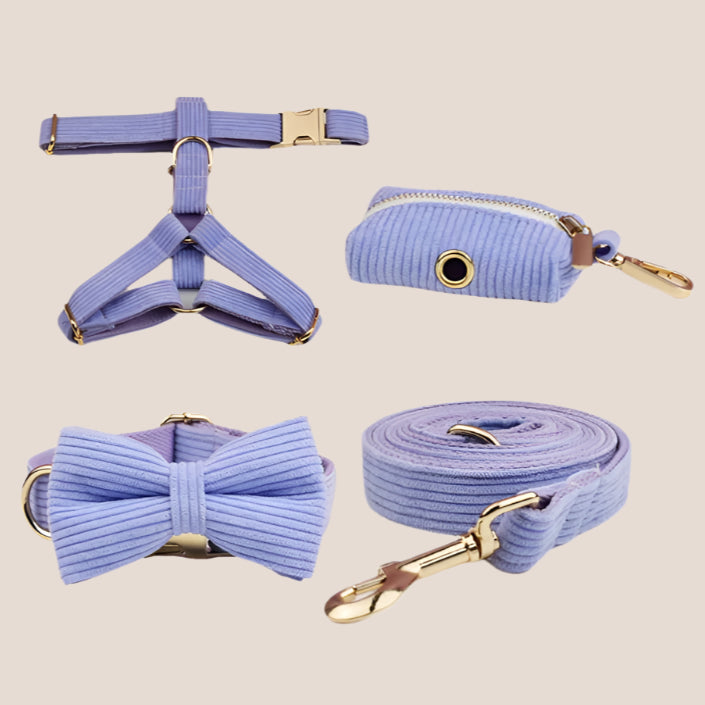 Personalized Pet ID Collar, Harness Leash & Accessories Set Purple Corduroy