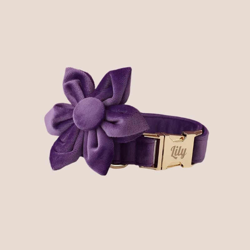 Purple Velvet Engraved Pet Set