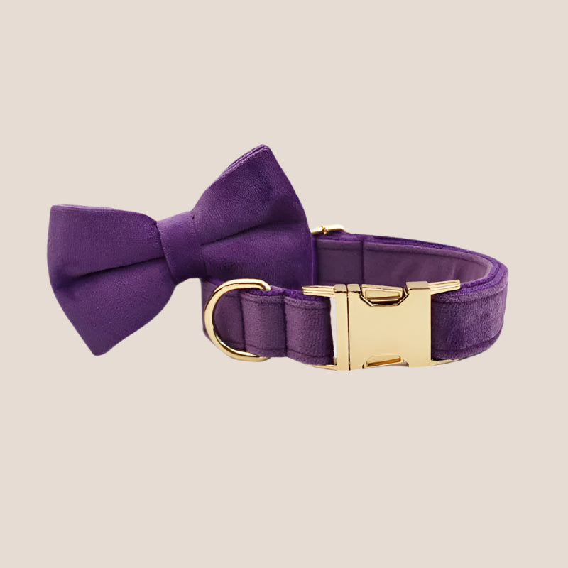 Purple Velvet Engraved Pet Set