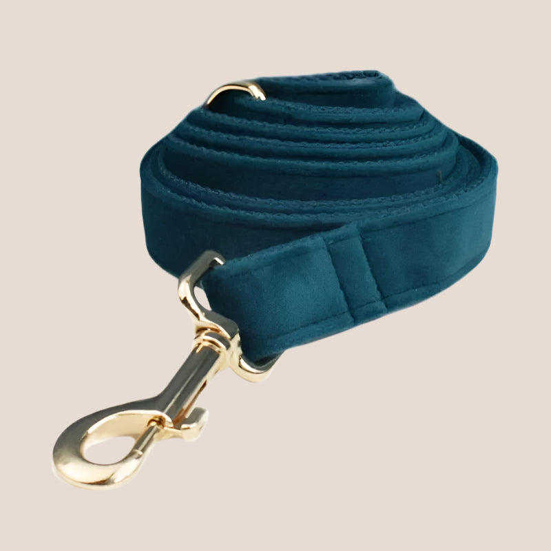Ocean Blue Velvet Engraved Pet Set