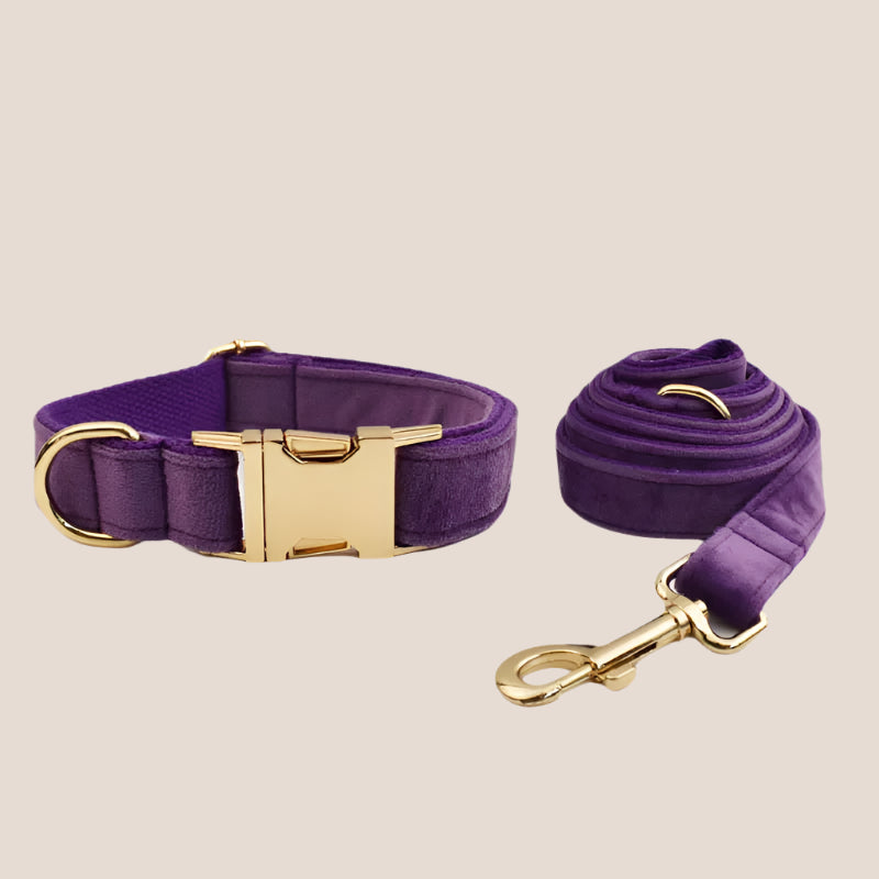 Purple Velvet Engraved Pet Set
