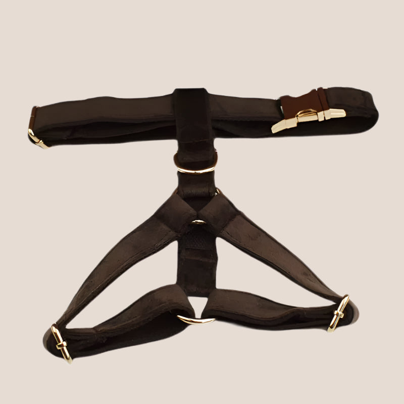 Personalized Pet ID Collar, Harness Leash & Accessories Set Brown Velvet