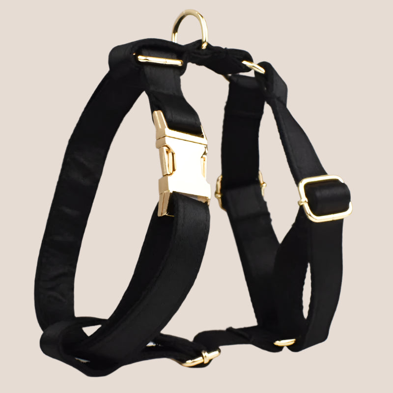 Personalized Pet ID Collar, Harness Leash & Accessories Set Black Satin